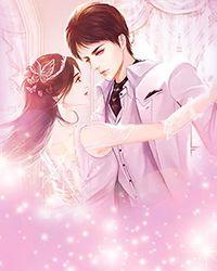 指月无功补偿控制器说明书