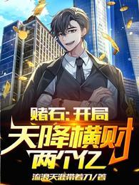 叶青柳月赌石之财色双收收听